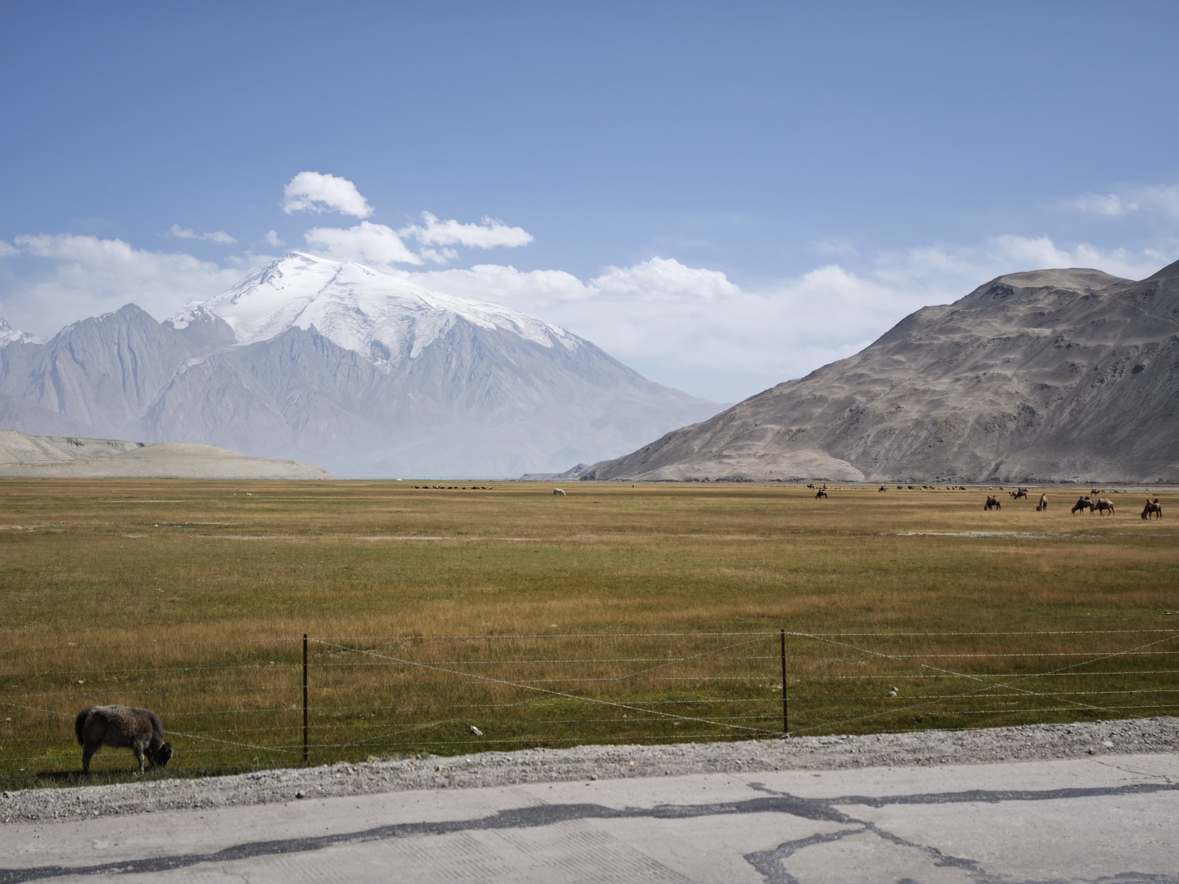 Snow-covered mountains above a green plain